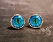 Cat Eye Earrings: Silver Earrings. Post Earrings. Studs. Blue and Black. Art. Girls Earrings. Handmade Jewelry. Jewellery. Lizabettas