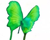bright spring green butterfly. original watercolor painting