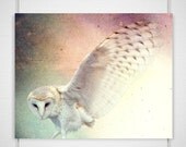 Barn Owl Photo - 8x10 Photograph - Owl Art Print - Owl Photograph - dreamy fairy tale forest woodland fall autumn 'A Little Bit Hopeful'
