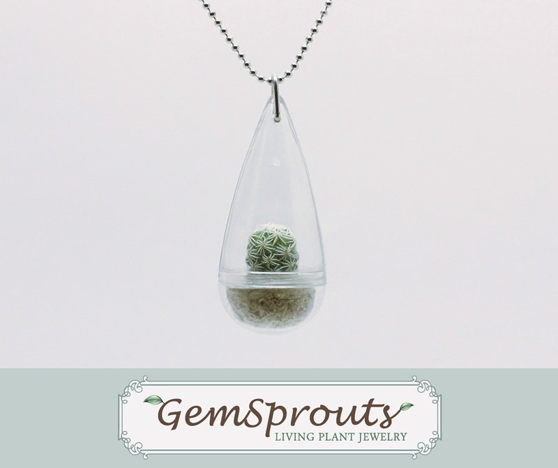 Real Living Tiny Green Thimble Cactus Plant Necklace with Ballchain