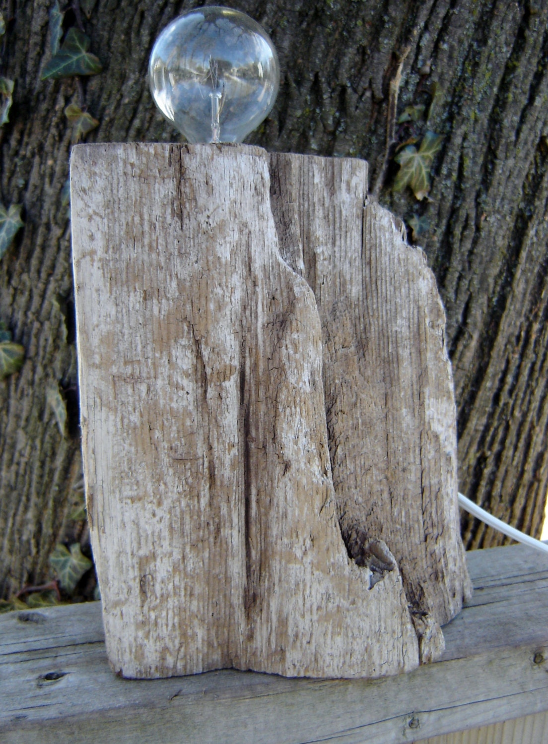 Fragment Driftwood Light