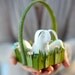 White Rabbit kit