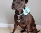 Daisy Cakes Flower Collar Accessory