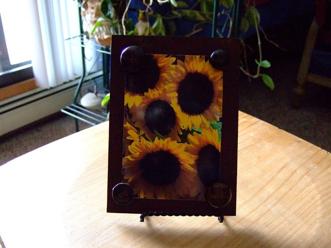 Brown leather button rust frame