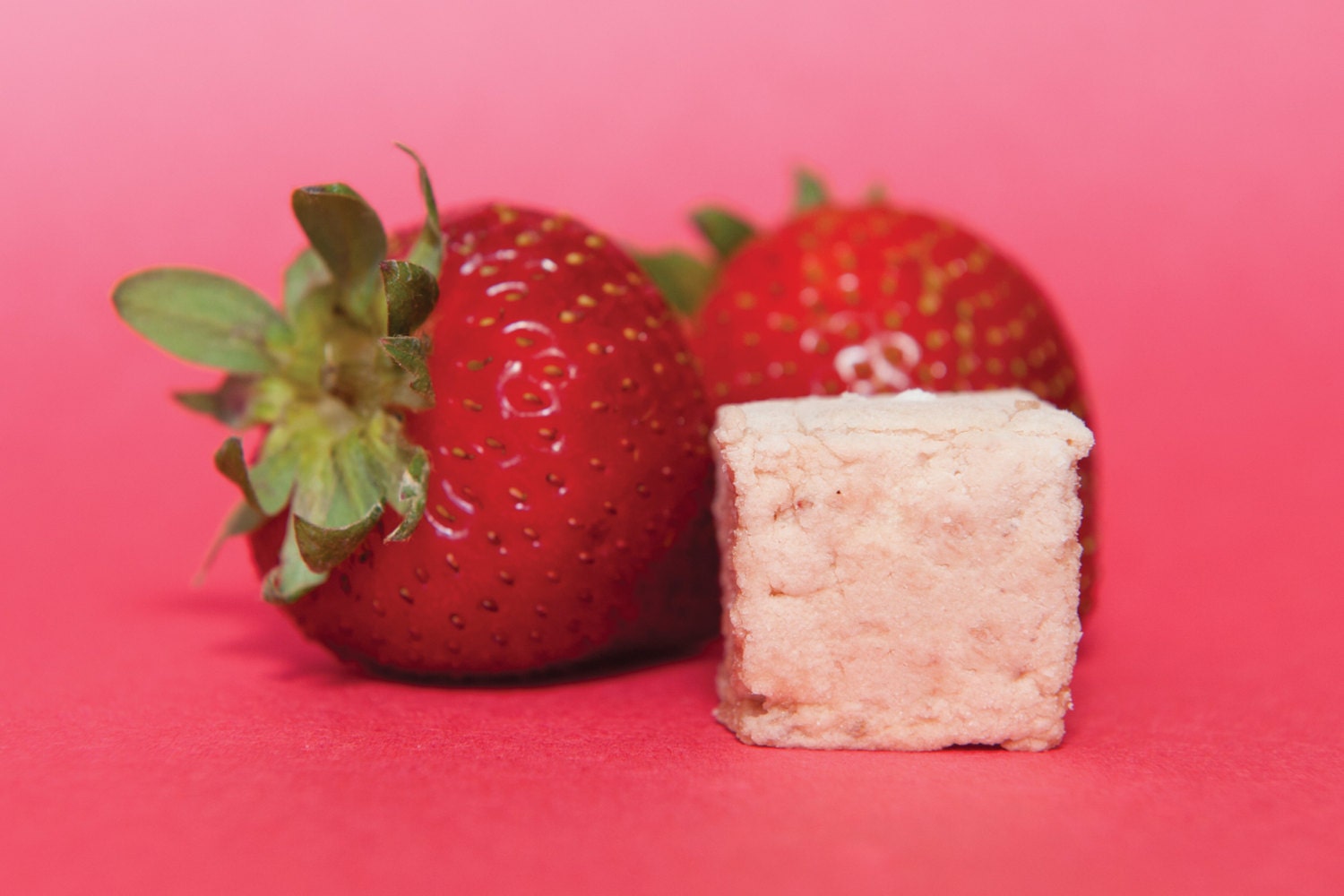 Strawberry marshmallows - Box of 16 handcrafted treats