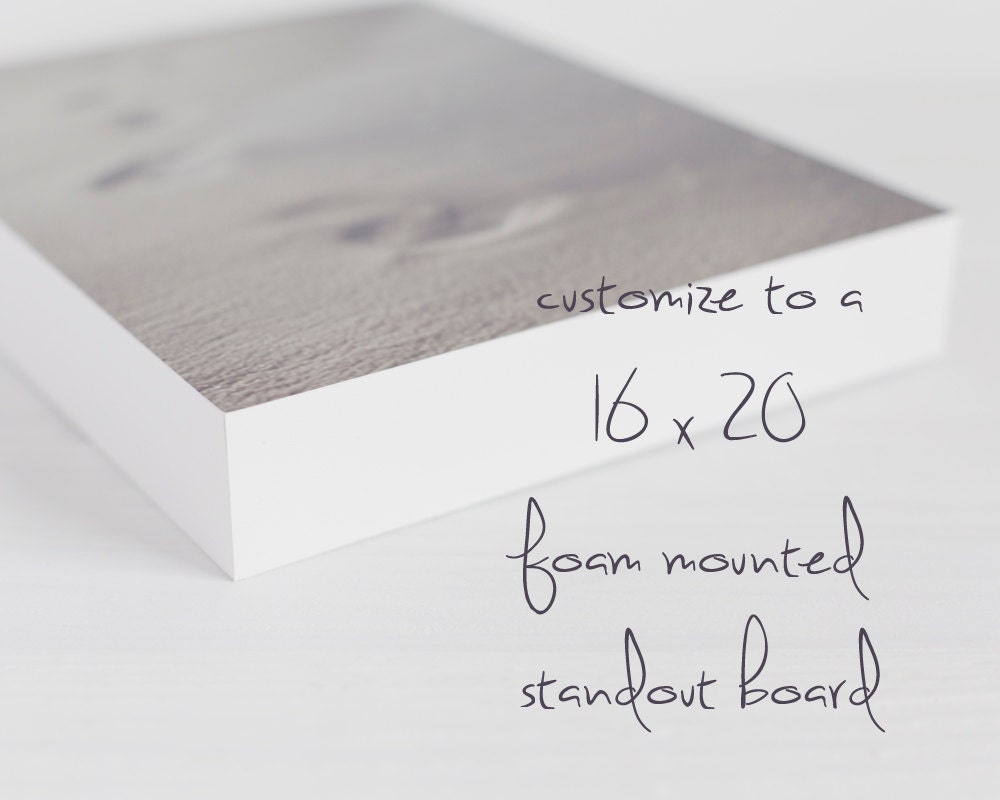 Foam Standout Board- Customize any Photography Print on a 16x20 Foam Mounted Standout Board