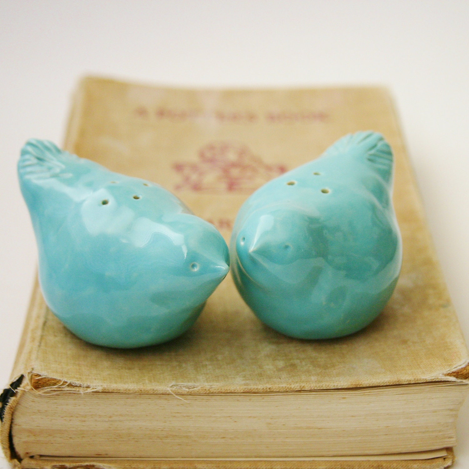 Salt & Pepper Shakers - Porcelain Birds - Robins Egg Blue - Kitchen Table Home Decor - OOAK Handmade Sculptures