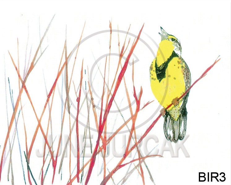 Watercolor Bird Greeting Card - Painting by June Jurcak