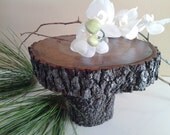 10" RUSTIC WEDDING Cake Stand   - Natural Oak bark tree trunk slice