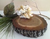 TREASURY ITEM - 8"  Rustic Oak Tree Trunk Slice - Rustic wedding decor - Centerpiece - Home Decor - Tray - Trivit