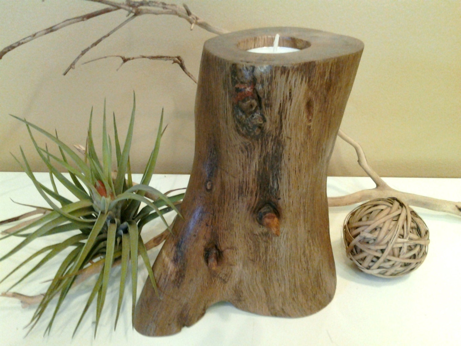 Natural Oak tree trunk candleholder - Unique - One of a kind - Tree trunks - Tree slices