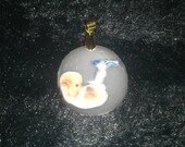 Human embryo pendant glow in the dark