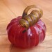 Glass Pumpkin by Jonathan Winfisky - Deep Garnet Red