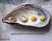 sound of breakers crashing on the shore - a printed seaside art card - textured photography - mussel shells pearls and little yellow shells