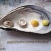sound of breakers crashing on the shore - a printed seaside art card - textured photography - mussel shells pearls and little yellow shells