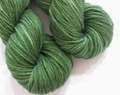 TWW Superwash Workhorse Worsted  - The Marsh