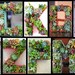 Succulent Monogrammed Planter Box As Seen In Southern Living Christmas at Home