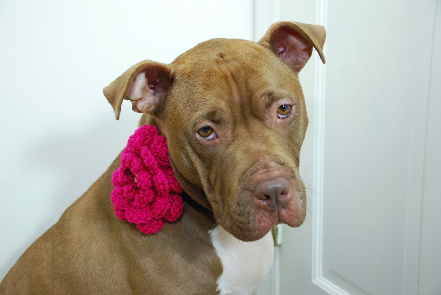 Dog Collar Flower Clip On Hot Pink Crochet Large