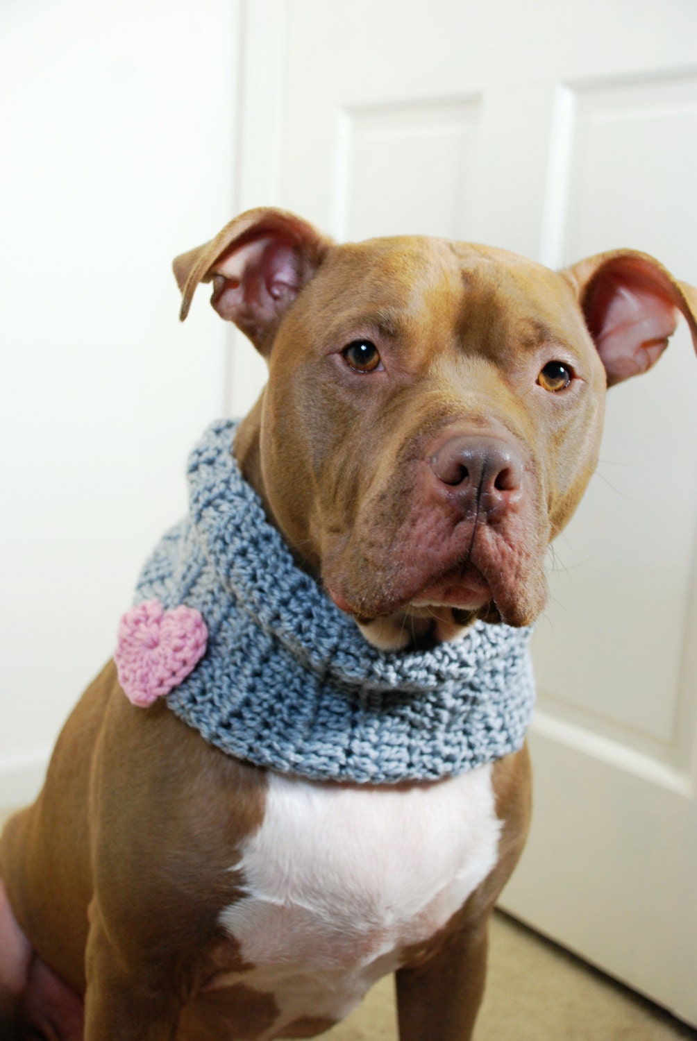 Dog Cowl Crochet Grey with Pink Heart