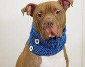 Crochet Dog Cowl with Buttons Blue