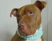 Dog Cowl Mint Green for Large Breeds Crochet
