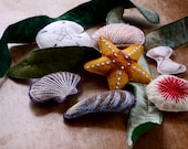 Summer Ocean Toys. Felt Seashell Nature Montessori Toys from Aly Parrott on Etsy. Made to order.