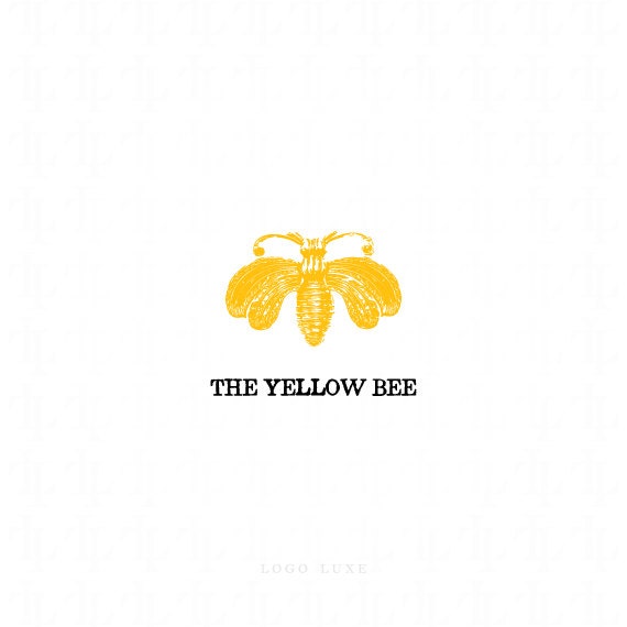 Custom Business Logo Design - Business Branding