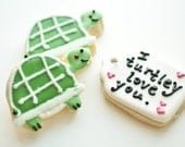 I Turtley Love You - Turtle Decorated Sugar Cookie Set- Father's Day