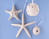 White Sea Shell Ornaments - Beach Wedding Favors - Set of Starfish Sea Urchin Sand Dollar - Seashell - Ocean