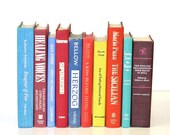 Vintage Colorful Rainbow Book Collection Home Decor Vintage Book Bundle