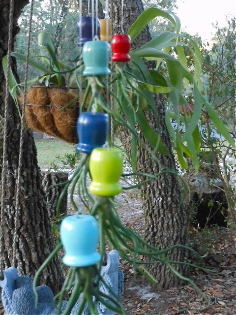 Hanging Air Plant Pots- Painted Wooden Pod Planter for Tillandsia Multi Colored Gift  Unique Gift under 20