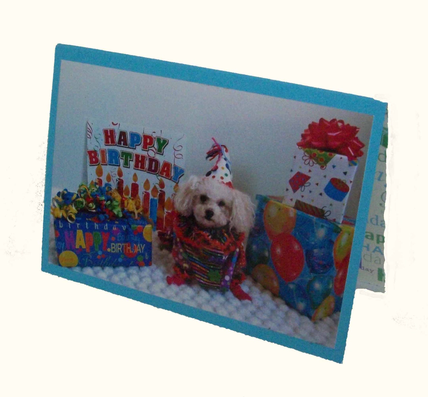 Clown Birthday Card, Miniature Poodle Birthday Card, Toy Poodle Birthday Card