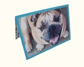 Bulldog Greeting Card, Dog Photo Card, Blank Dog Card