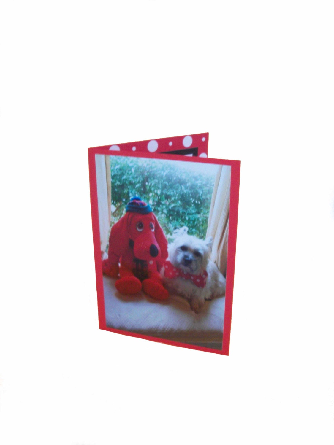 Cairn Terrier Card, All Occasion Terrier Card, Blank Dog Card