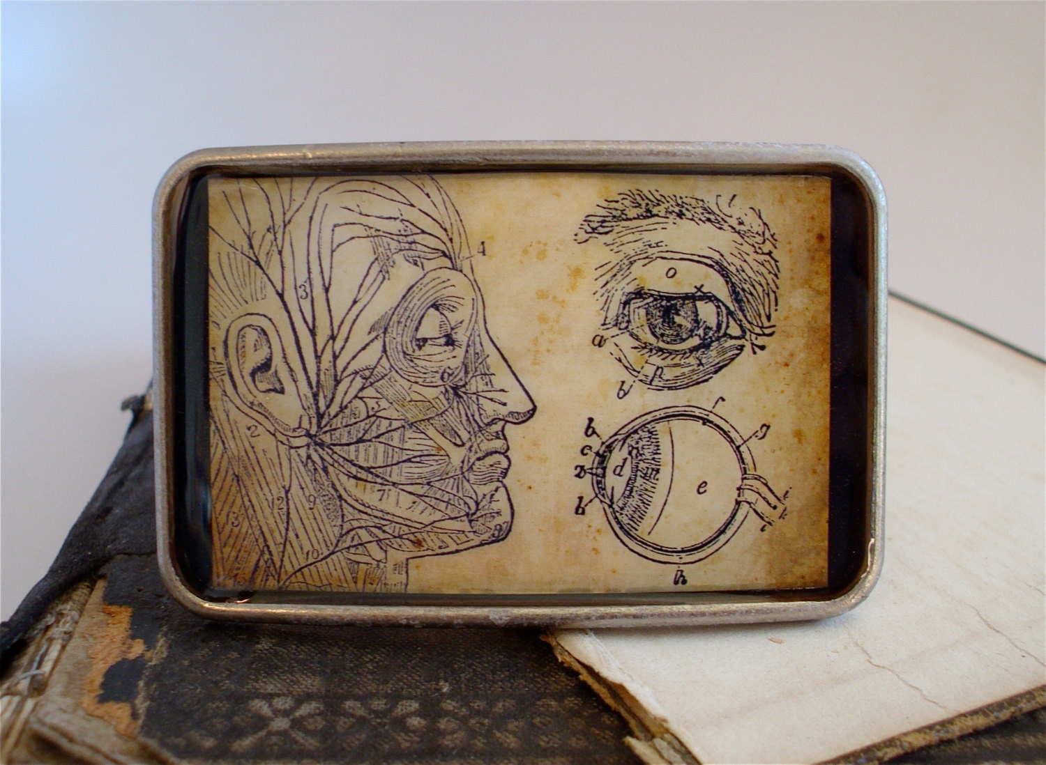 Anatomy Belt Buckle - 1903 Antique Anatomical Eye and Face Nervs Belt Buckle