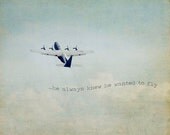 Airplane Photo Aviation Fly Travel Pastel Blue Sky White Clouds Photography Imagination Childrens Wall Art, 8 x 10 Fine Art Print
