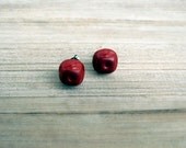 Tiny Red Earrings