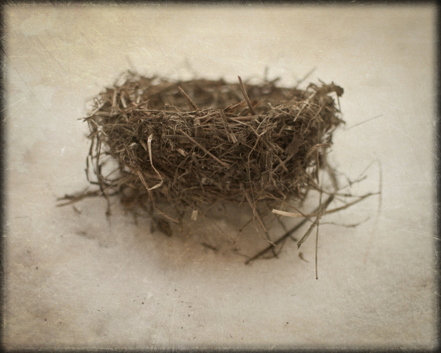 Bird Nest, Rustic, Empty Nest, Brown, Vintage