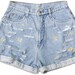 Embroidered Daisy Flower 70s Shorts Vintage Distressed High Waisted Denim Boho Coachella Hipster Small Medium W28