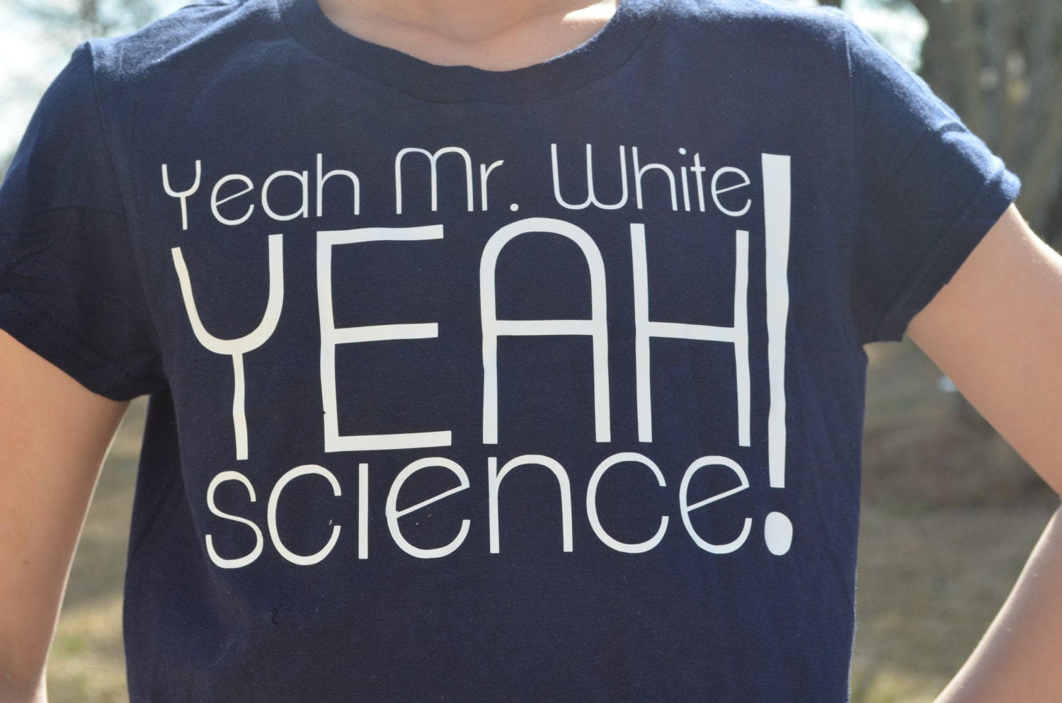 Breaking Bad TV show inspired ... "Yeah Mr White. Yeah Science" ... Jesse Pinkman / Walter White / Heisenberg Adult Shirt :Priority Shipping