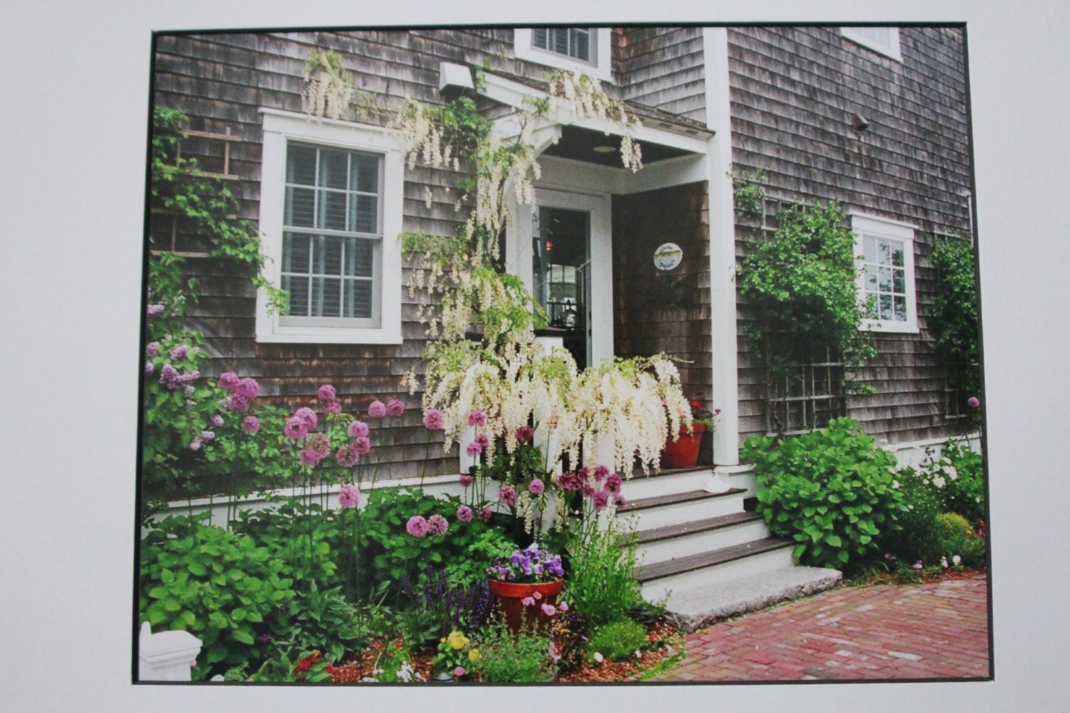 8x10 photograph, Provincetown, Mass.  Cape Cod