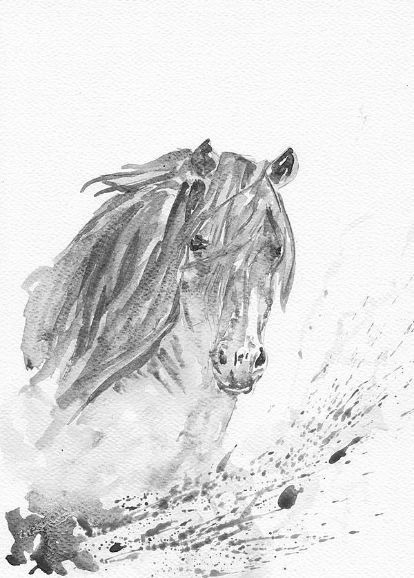 Art Watercolor Painting Print Original  Painting 8x11 Animal Horse Home Decor Illustration  Black and White