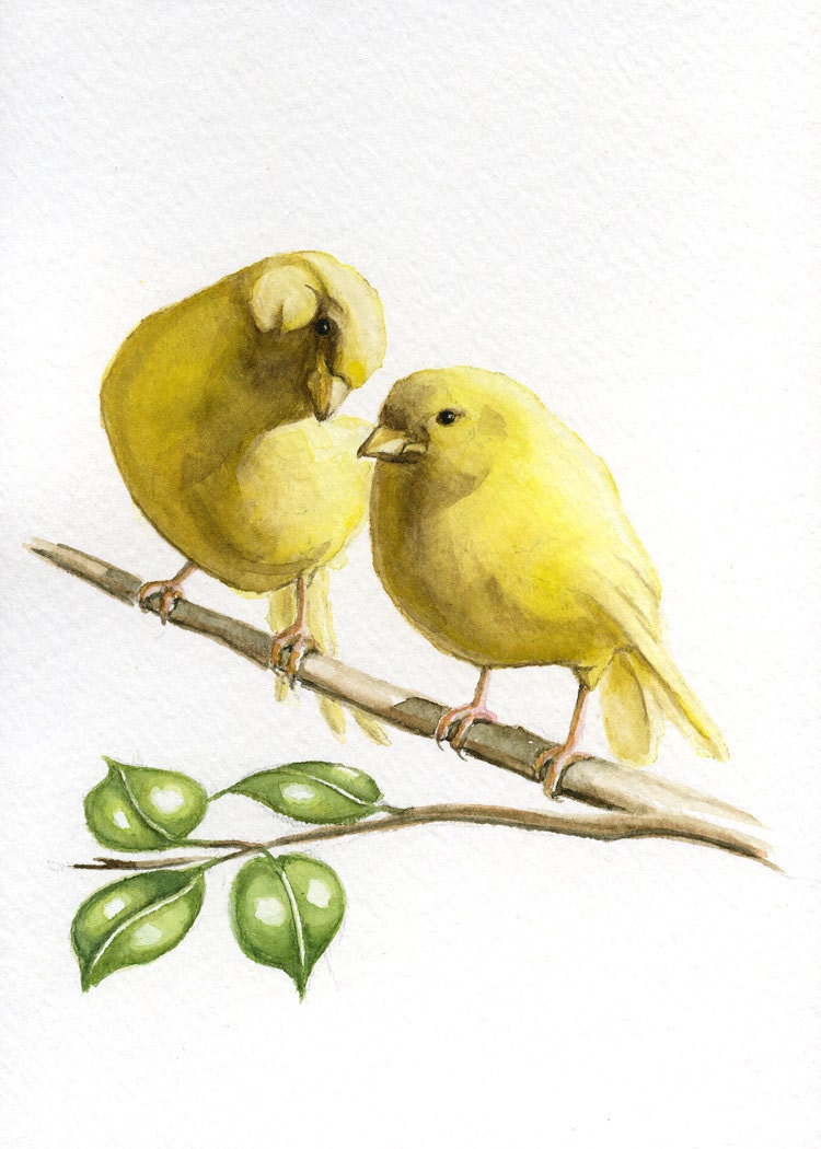 Yellow canary bird painting 5X7 prints from original watercolor painting pet birds home and garden birds earthspalette