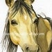 Mustang horse painting 5x7 print from original watercolor painting ranch rustic cabin decor home decor horses earthspalette