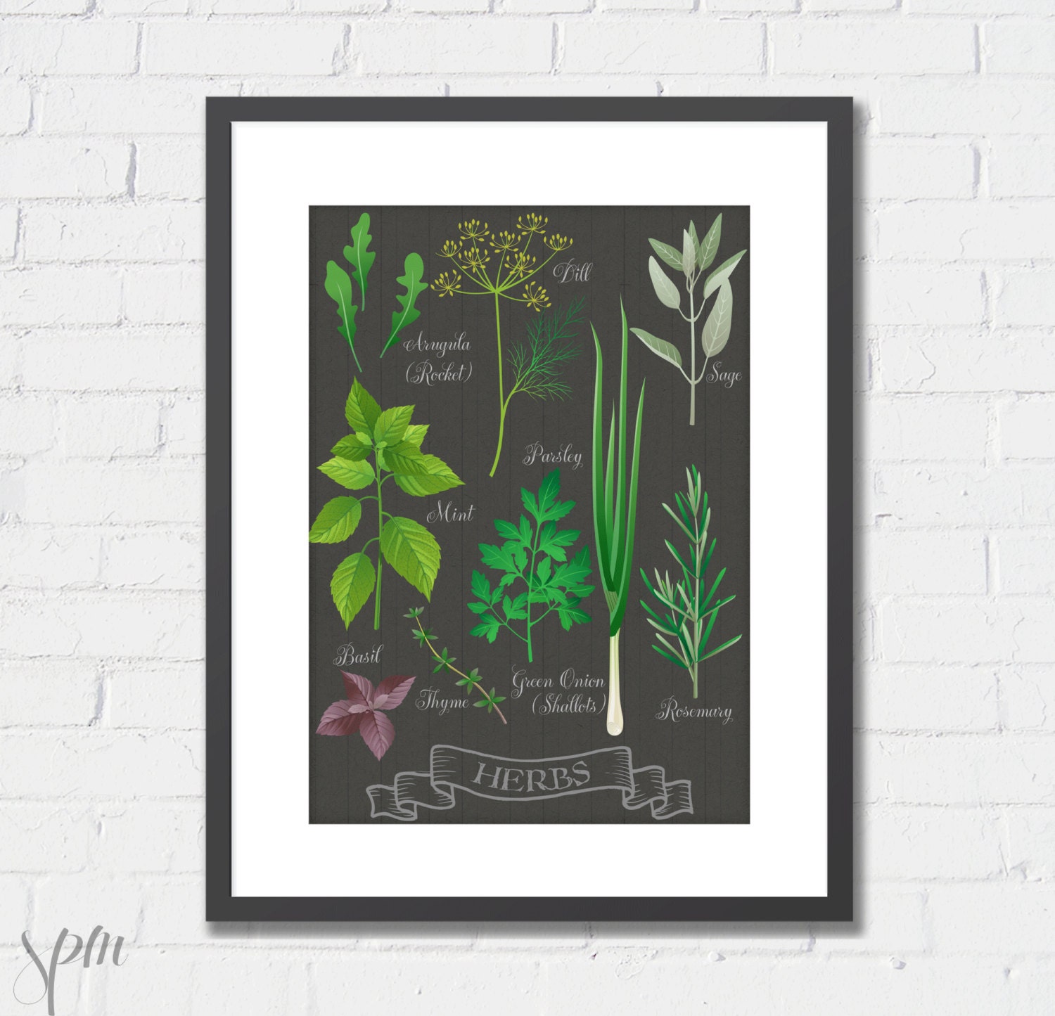 Art Print Kitchen Herbs Archival Print 8x10 or A4