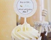 BABY BEE Printable Gender Reveal Baby Shower Party Kit "What will baby bee" Il_170x135
