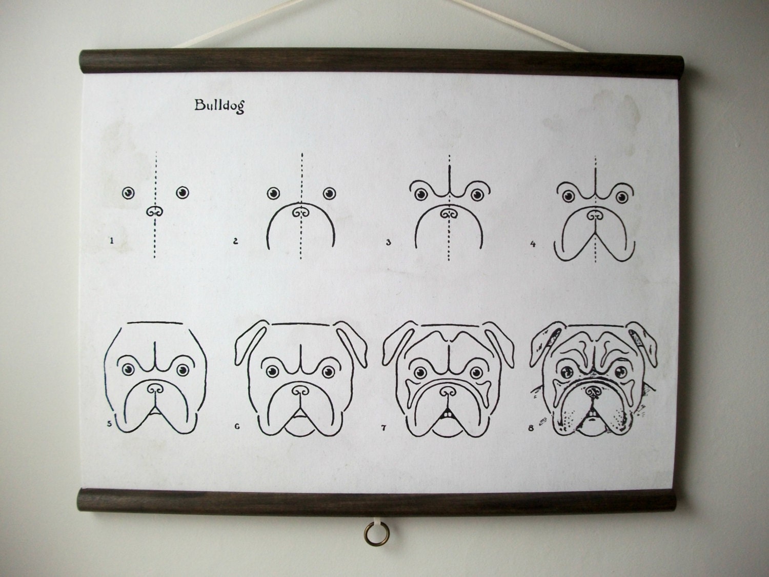 Canvas Vintage Style School Chart with Wood Trim  - How to Draw Bulldogs (24"x18")