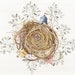 Original watercolor painting nest tents compass