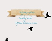Shipping option: international tracking mode