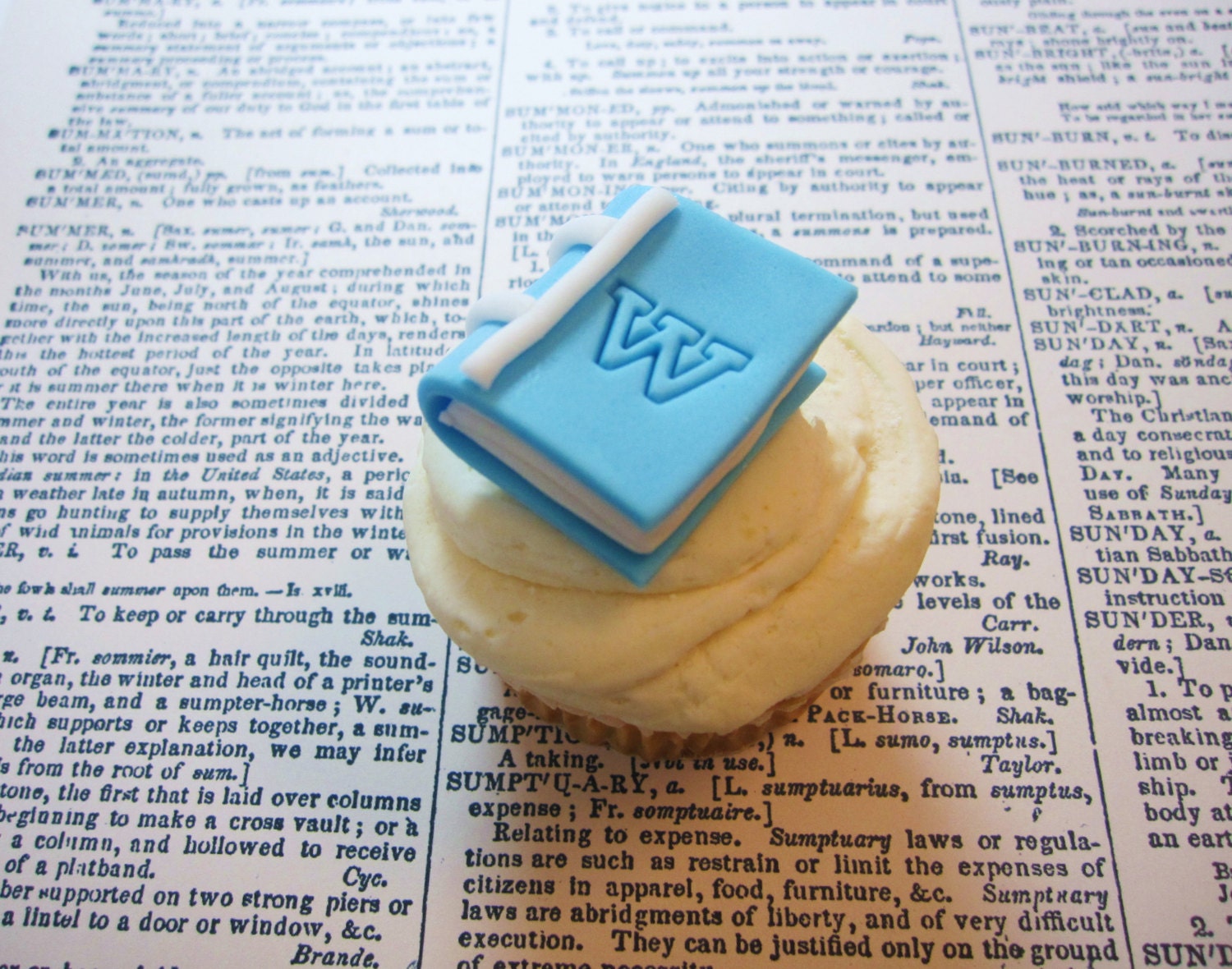 Book Worm Party Fondant Cupcake toppers for a book themed showe, bookworm Party or library lover